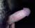 mon tout petit sexe de moi